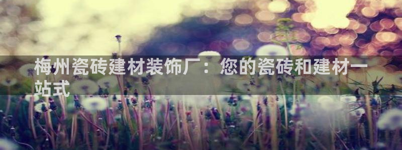 杏鑫官网注册账号是什么意思