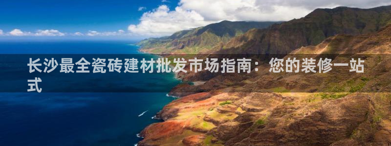 杏鑫官网最新信息