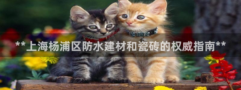 杏鑫平台在线注册怎么注册