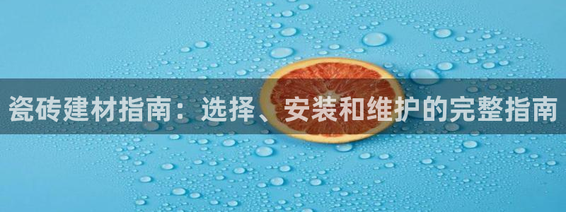 杏鑫代理注册资金多少