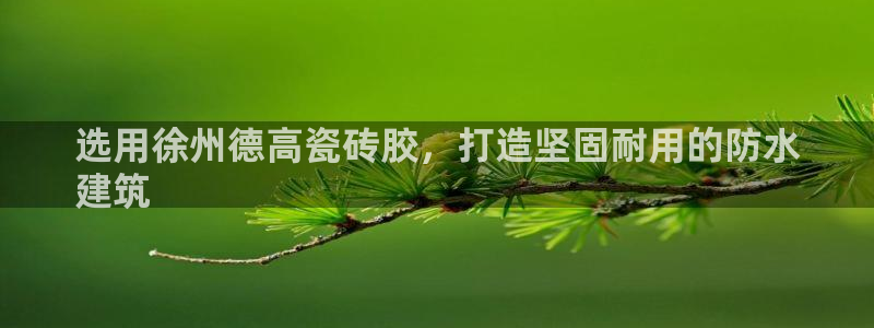 杏鑫平台招商怎么样啊