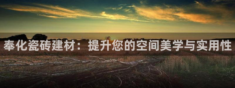 杏鑫平台代理怎么样