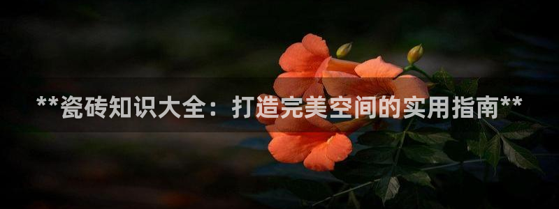 杏鑫娱乐官方网站客户端登录