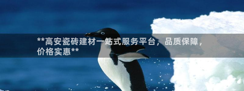 杏鑫官网