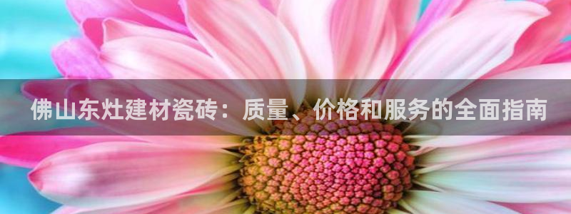 杏鑫平台代理