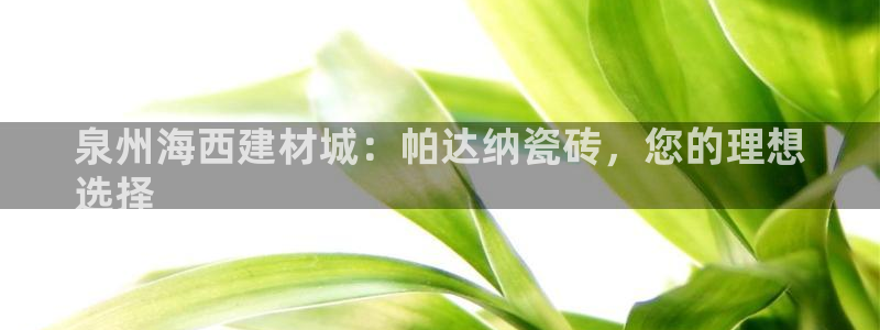 杏鑫官网注册账号密码忘了