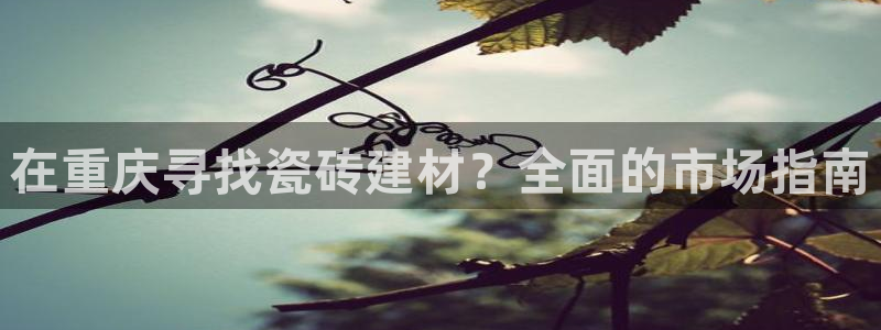 杏鑫平台招商
