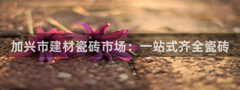 杏鑫官网注册账号密码忘了