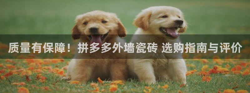 杏鑫平台代理注册登录不了怎么办呀