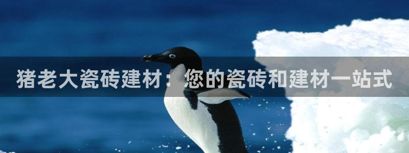 杏鑫娱乐官方网站客户端下载安装