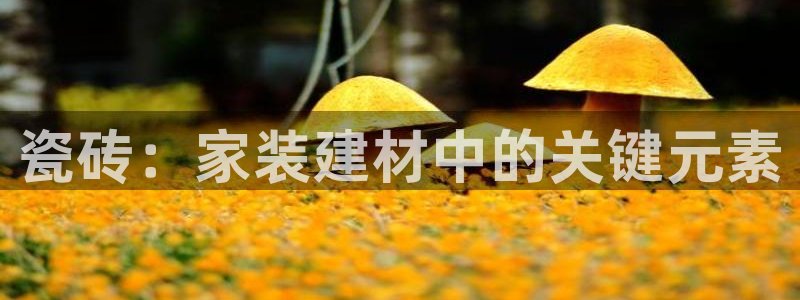 杏鑫官方平台怎么样啊可靠吗