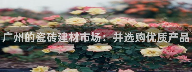 杏鑫平台在线注册