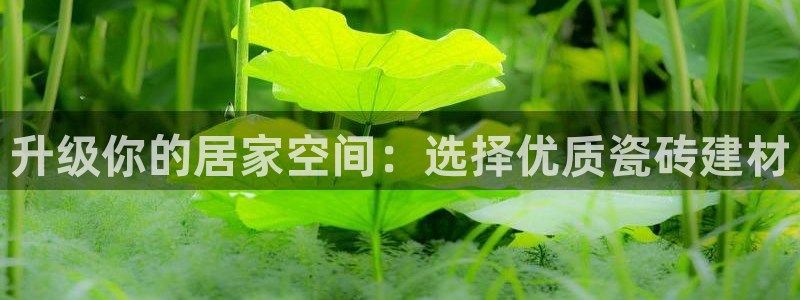 杏鑫娱乐平台测速