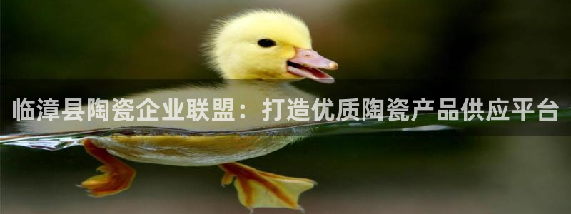 杏鑫娱乐平台登录