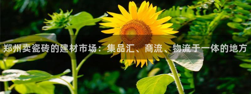 杏鑫平台直属