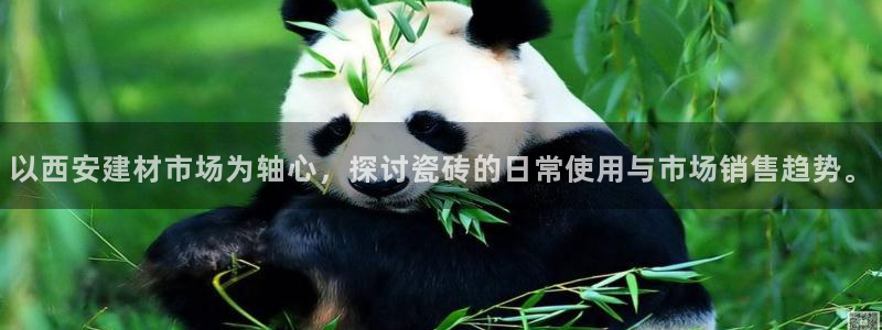 杏鑫平台官方网站