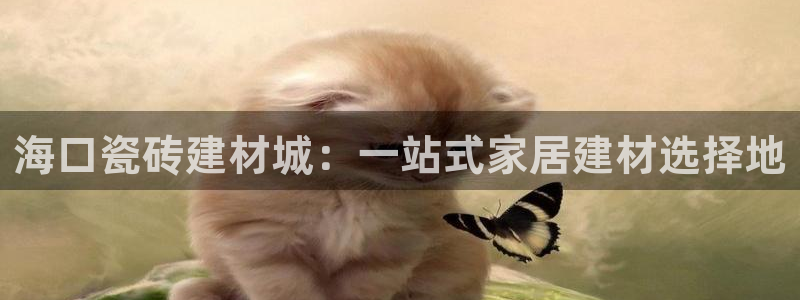 杏鑫平台代理注册多少钱一年
