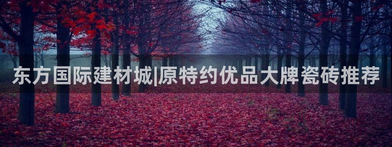 杏鑫平台官方网站