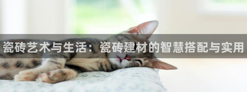 杏鑫注册登录代理