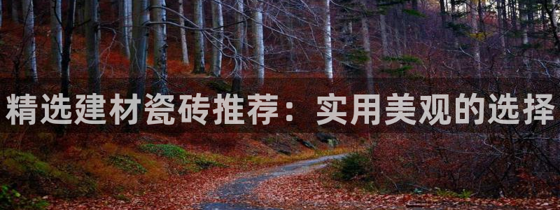 杏鑫平台代理注册多少钱啊