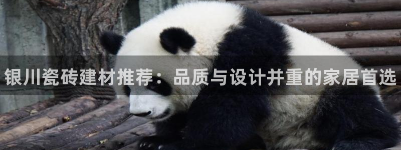 杏鑫平台正规吗是真的吗