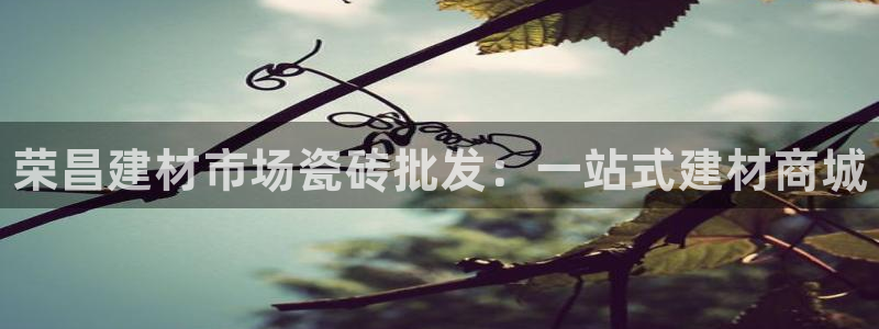 杏鑫官方平台怎么样啊可靠吗