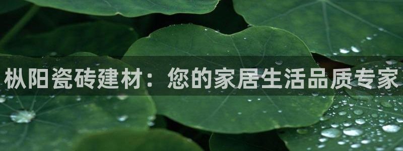 杏鑫平台代理注册流程视频