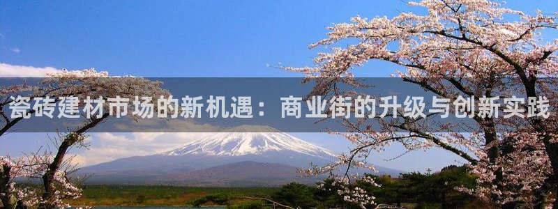 杏鑫平台代理注册多少钱一个