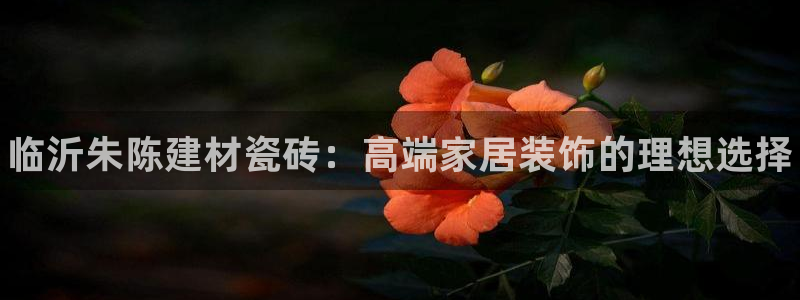 杏鑫平台代理注册登录不了怎么办呀视频