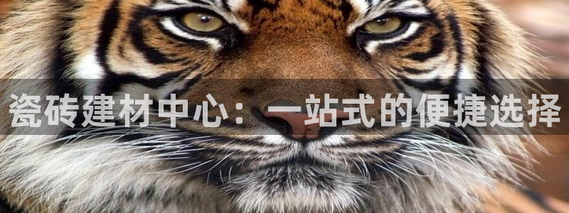 杏鑫娱乐怎么下